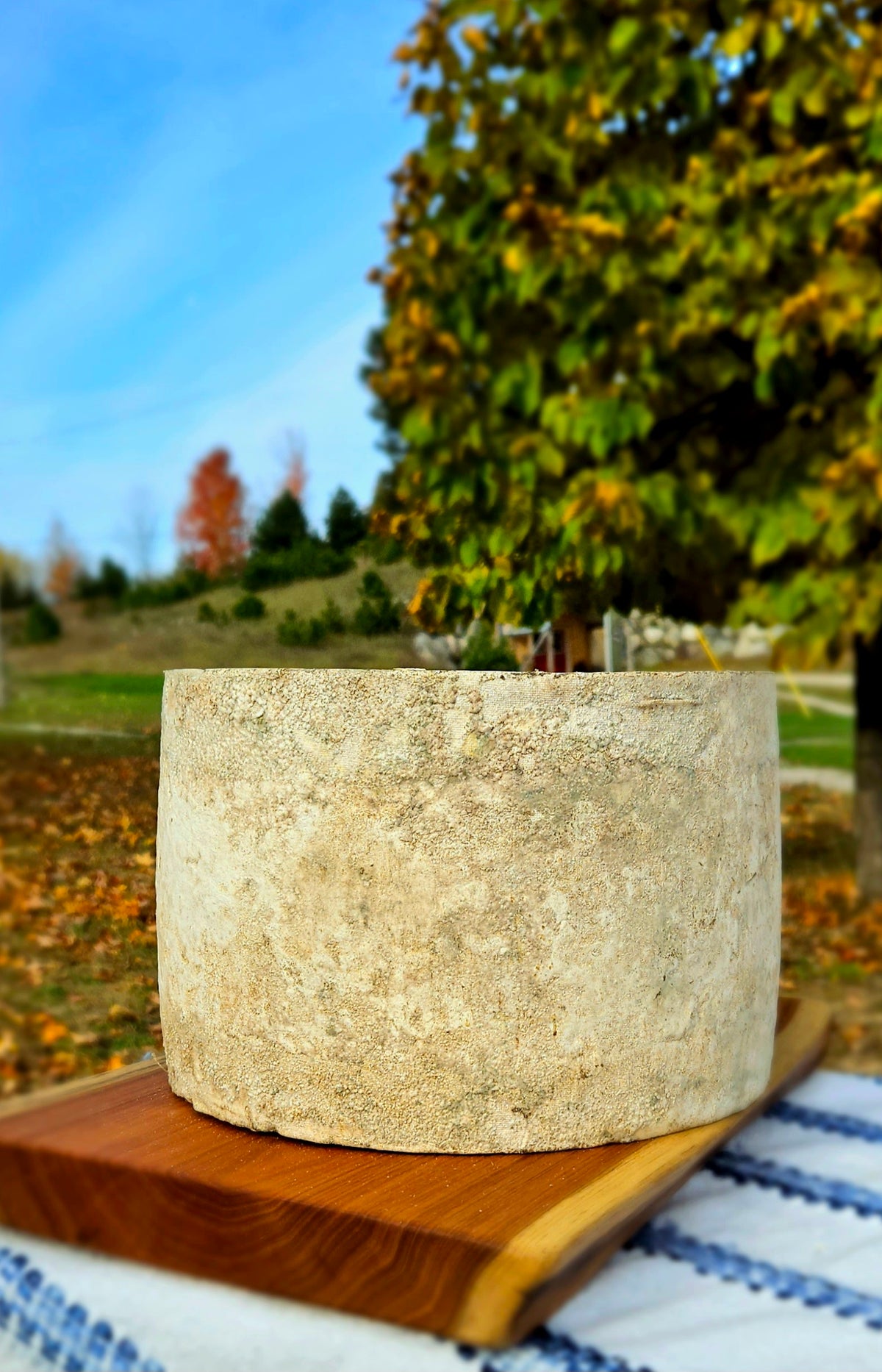 Clothbound Cheddar