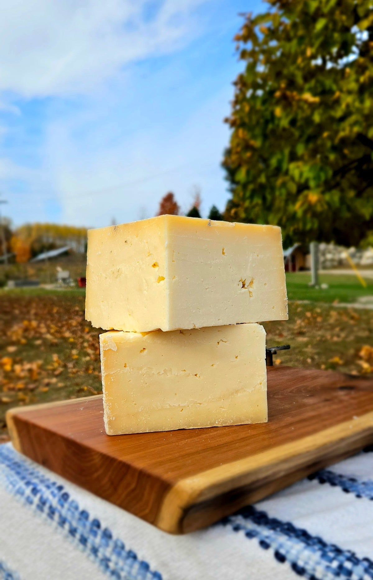 Clothbound Cheddar